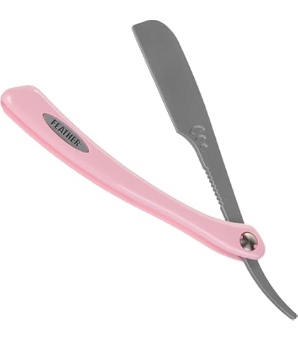 Amazon.co.jp: salonjapan フェザー アーティストクラブDXレザー 1個